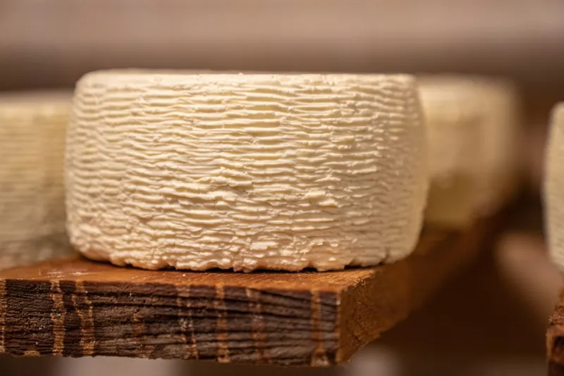 Rind, Texture, and Time: The Collector's Case for Treating Artisan Cheese as a Living Art Form